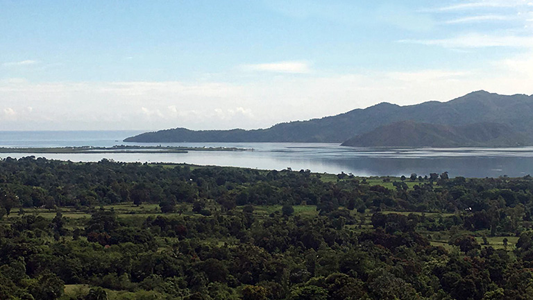 a lush Haitian landscape